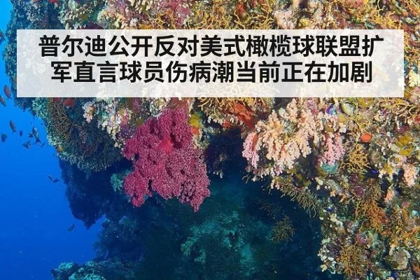 普尔迪公开反对美式橄榄球联盟扩军直言球员伤病潮当前正在加剧